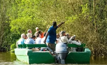 a tour guide showing some visitors an attraction on the caroni swamp