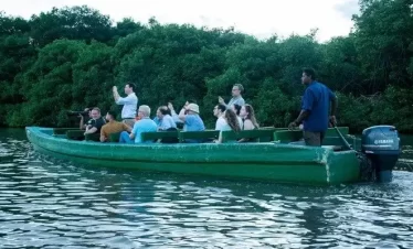 tourists on the caroni swamp taking photographs of the humming birds coming home to roost.