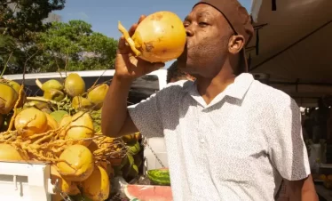 a passerby enjoys a solitary drinking in a cocnut water