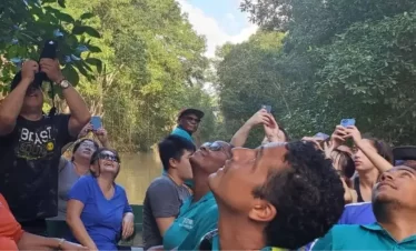 visitors take pictures on the caroni swamp and bird sanctuary trinidad home of the scarlet ibis