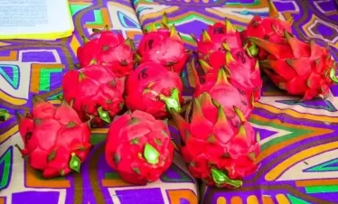 image of a fruit called dragon fruit