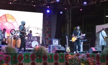 members of a band performing at a festival