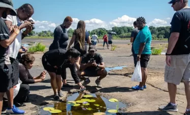 Unique to Trinidad, the pitch lake is the largest natural deposit of asphalt in the world, estimated to contain 10 million tons, here visitors exmaine lillies grown between the pitch lake southern trinidad another breath-taking experience